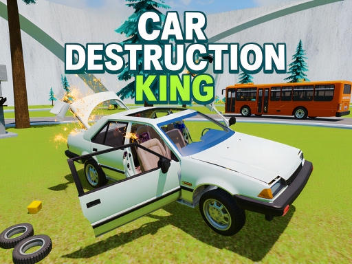 Car Destruction King Cover