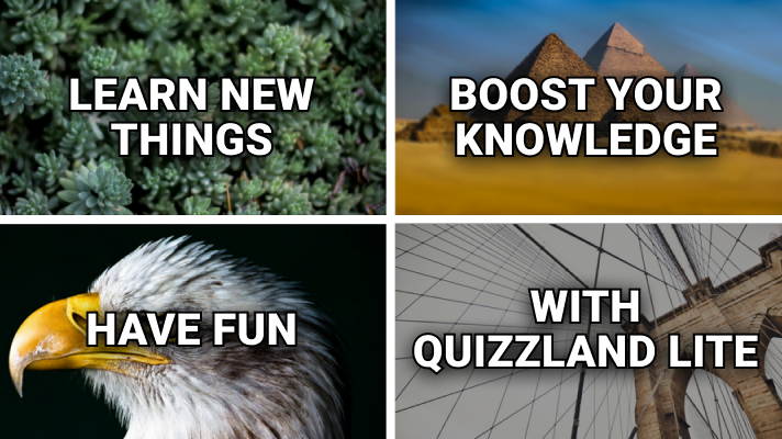 QuizzLand Trivia Cover
