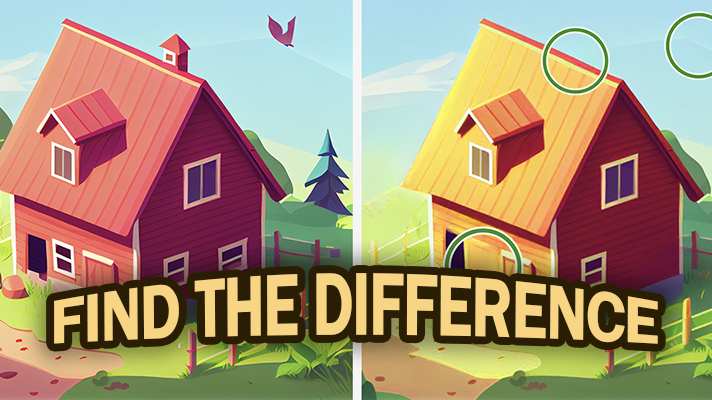 Find The Difference Cover