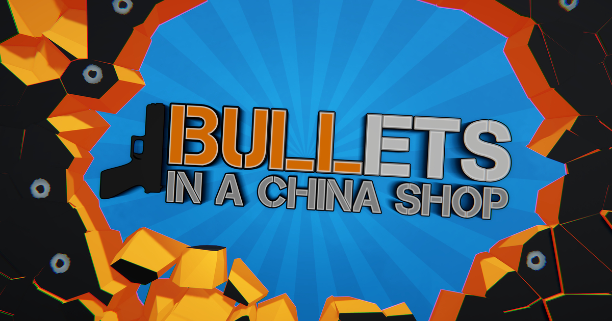 BULLets in a China Shop Cover