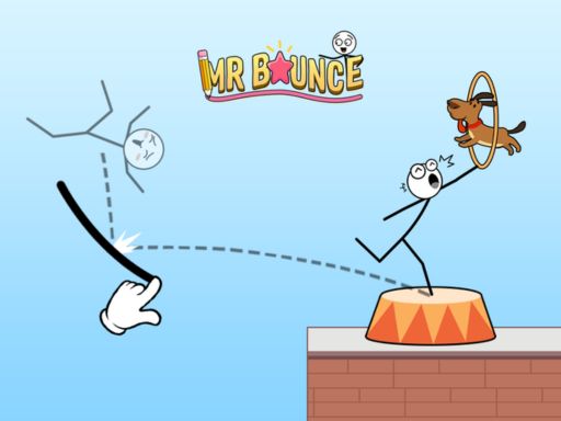 Mr Bounce Cover
